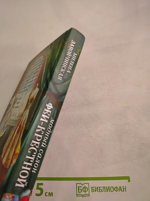 Модный салон ФЕЙ-КРЕСТНОЙ. Книга 1