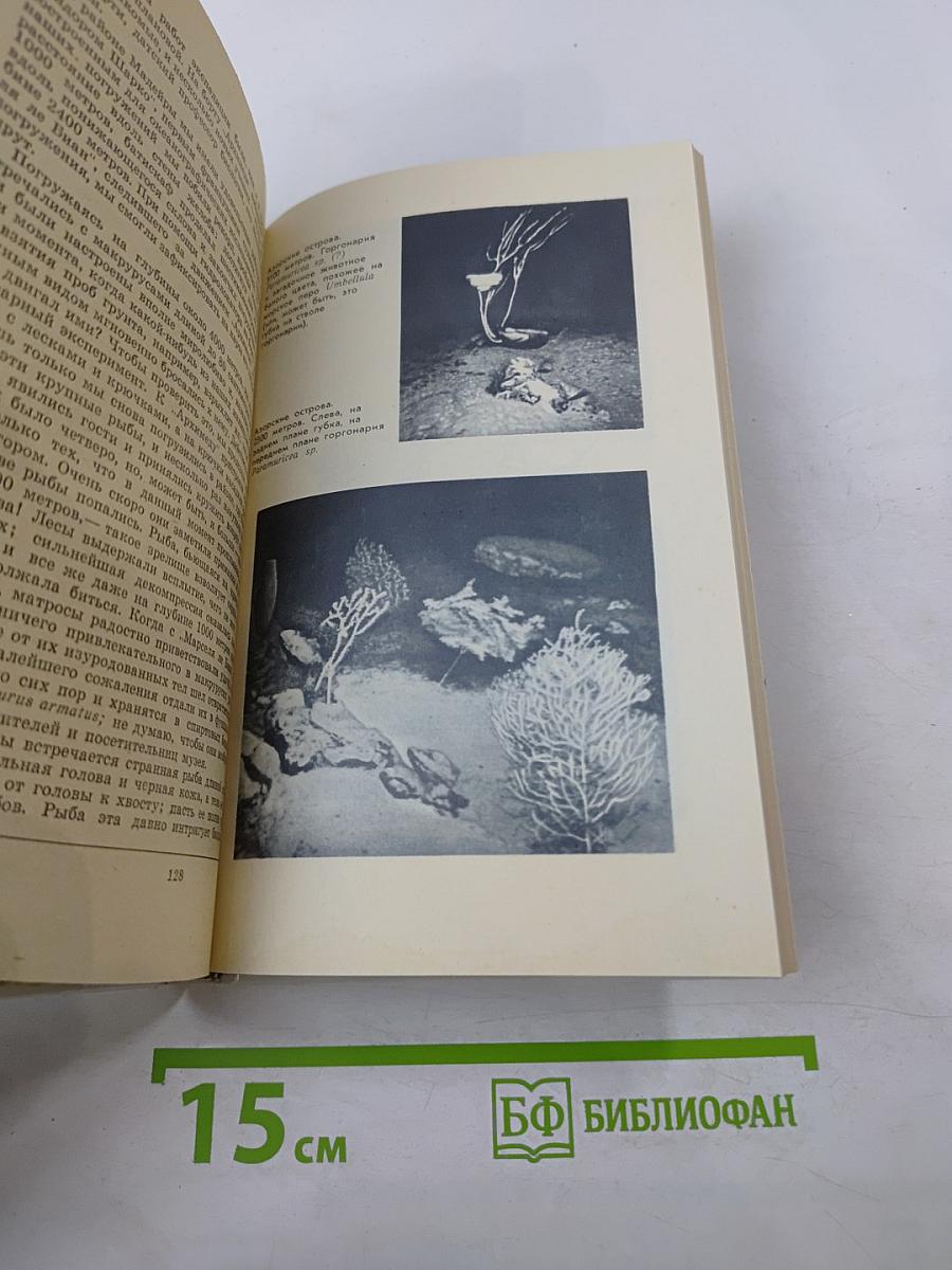 20 лет в батискафе