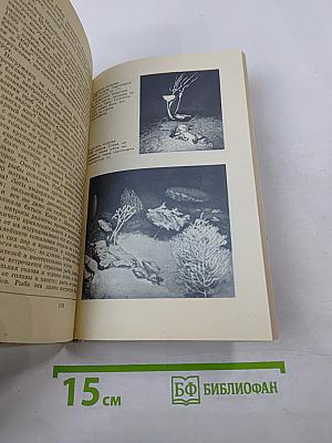 20 лет в батискафе