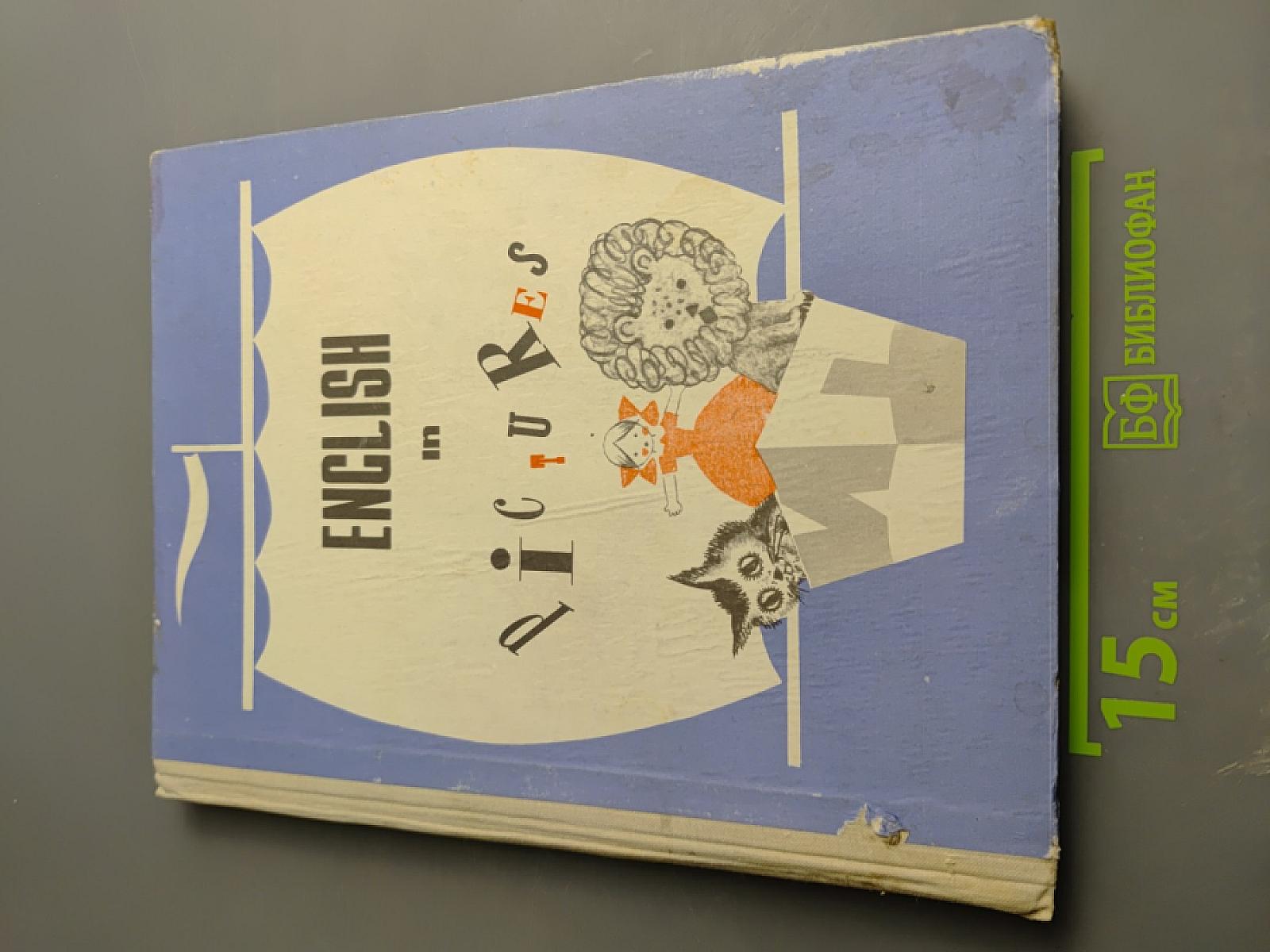 Английский язык в картинках