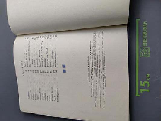 Английский язык в картинках