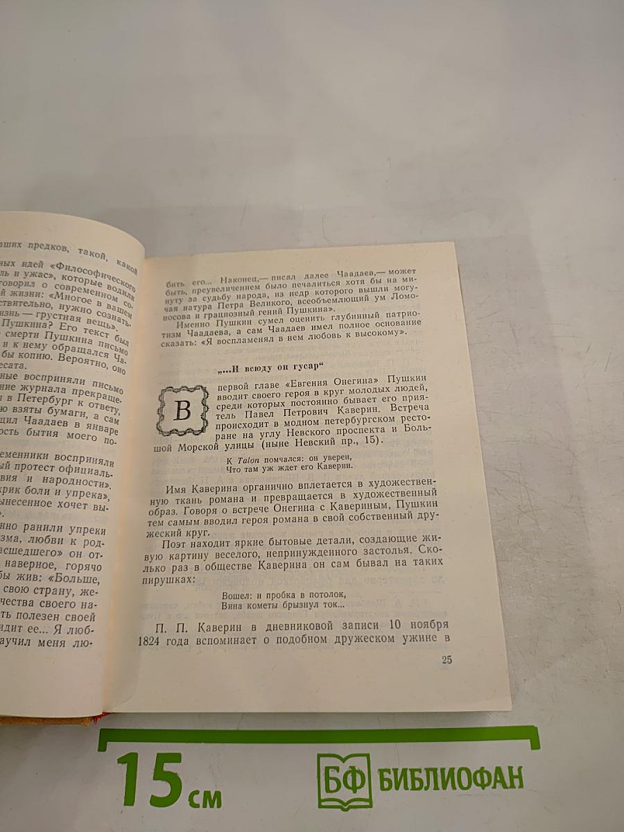 Петербургские встречи Пушкина