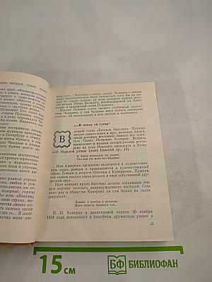 Петербургские встречи Пушкина