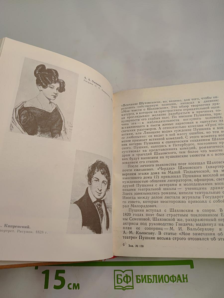 Петербургские встречи Пушкина