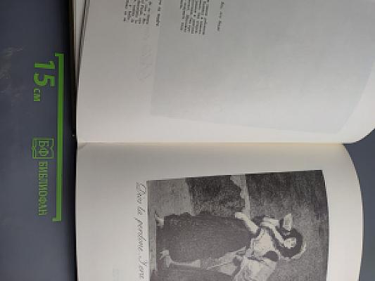 ГОЙЯ «Капричос»