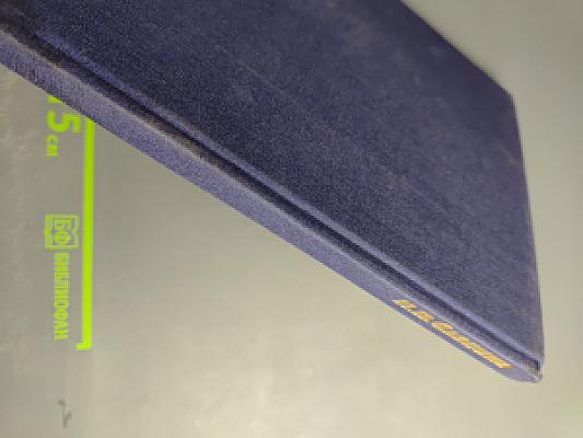 Нина Павловна Славина