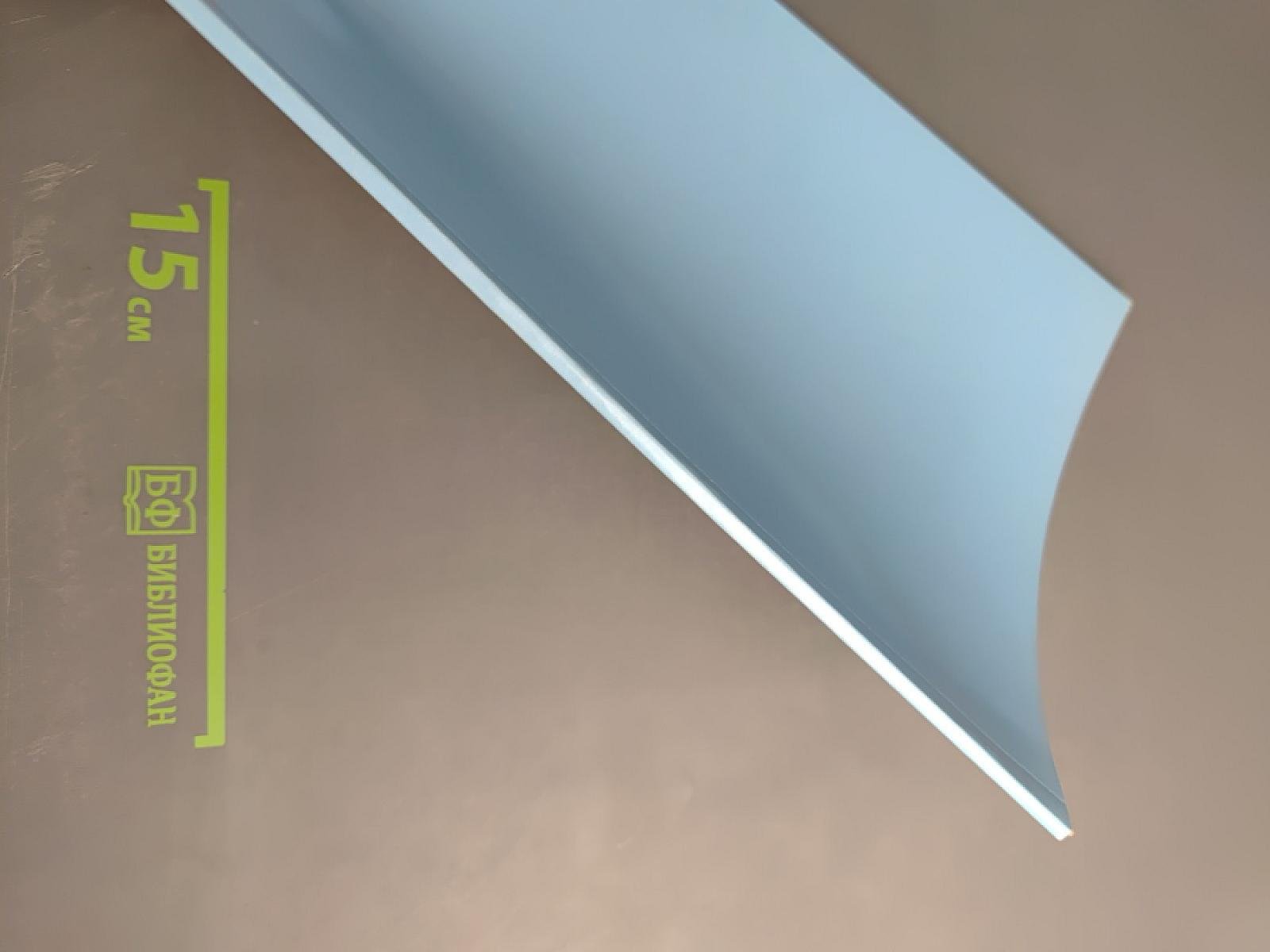 ДОБРО ПОЖАЛОВАТЬ В РОССИЮ! (Учебные материалы по аудированию и развитию речи)