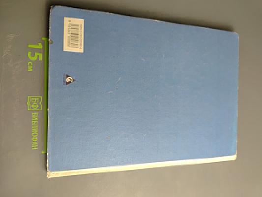 Наш город Санкт-Петербург: Путешествие с Архивариусом через три столетия. Книга для семейного чтения. Часть II