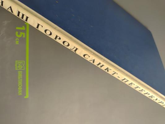 Наш город Санкт-Петербург: Путешествие с Архивариусом через три столетия. Книга для семейного чтения. Часть II