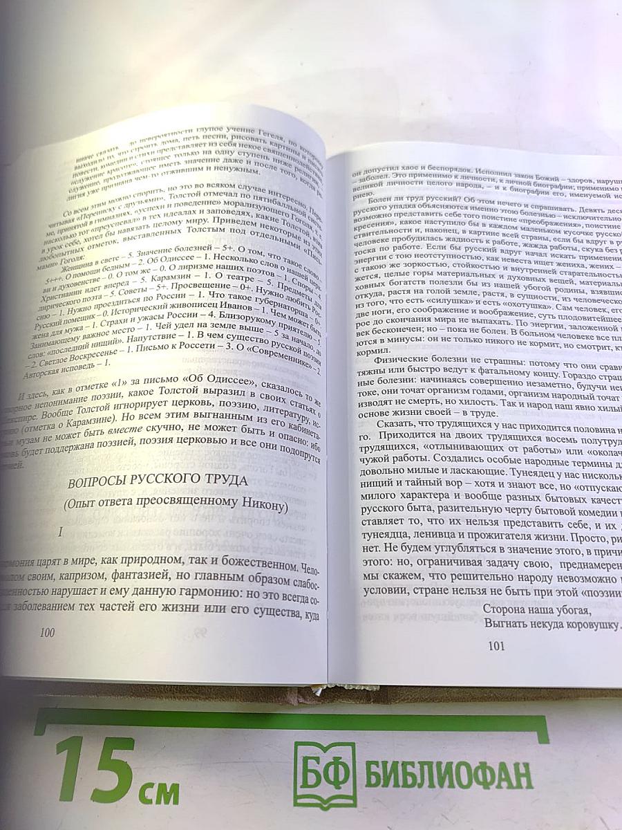 Старая и молодая Россия. Статьи и очерки 1909 г.