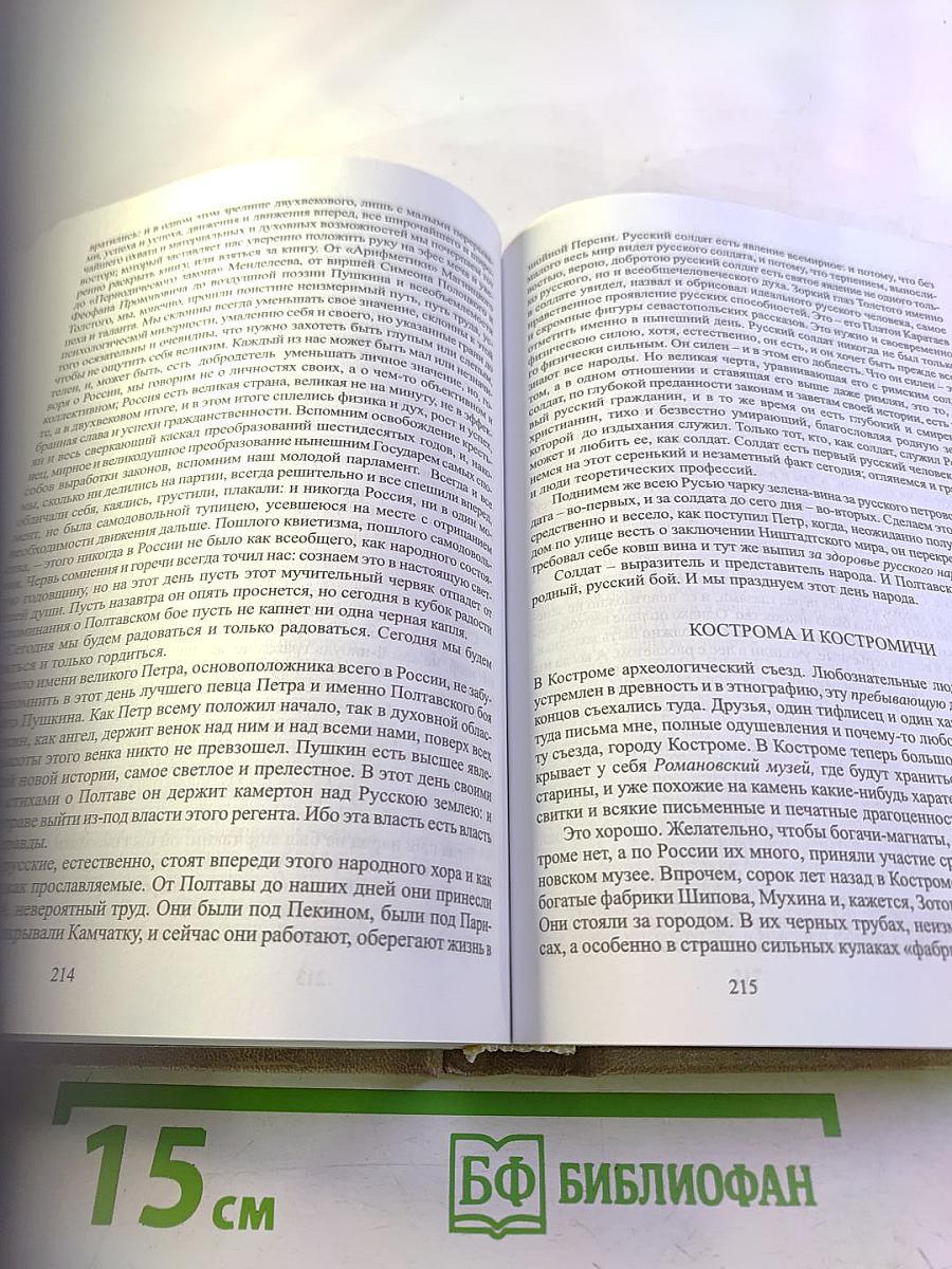 Старая и молодая Россия. Статьи и очерки 1909 г.