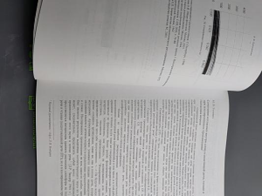 Фонетический лицей. Выпуск 2