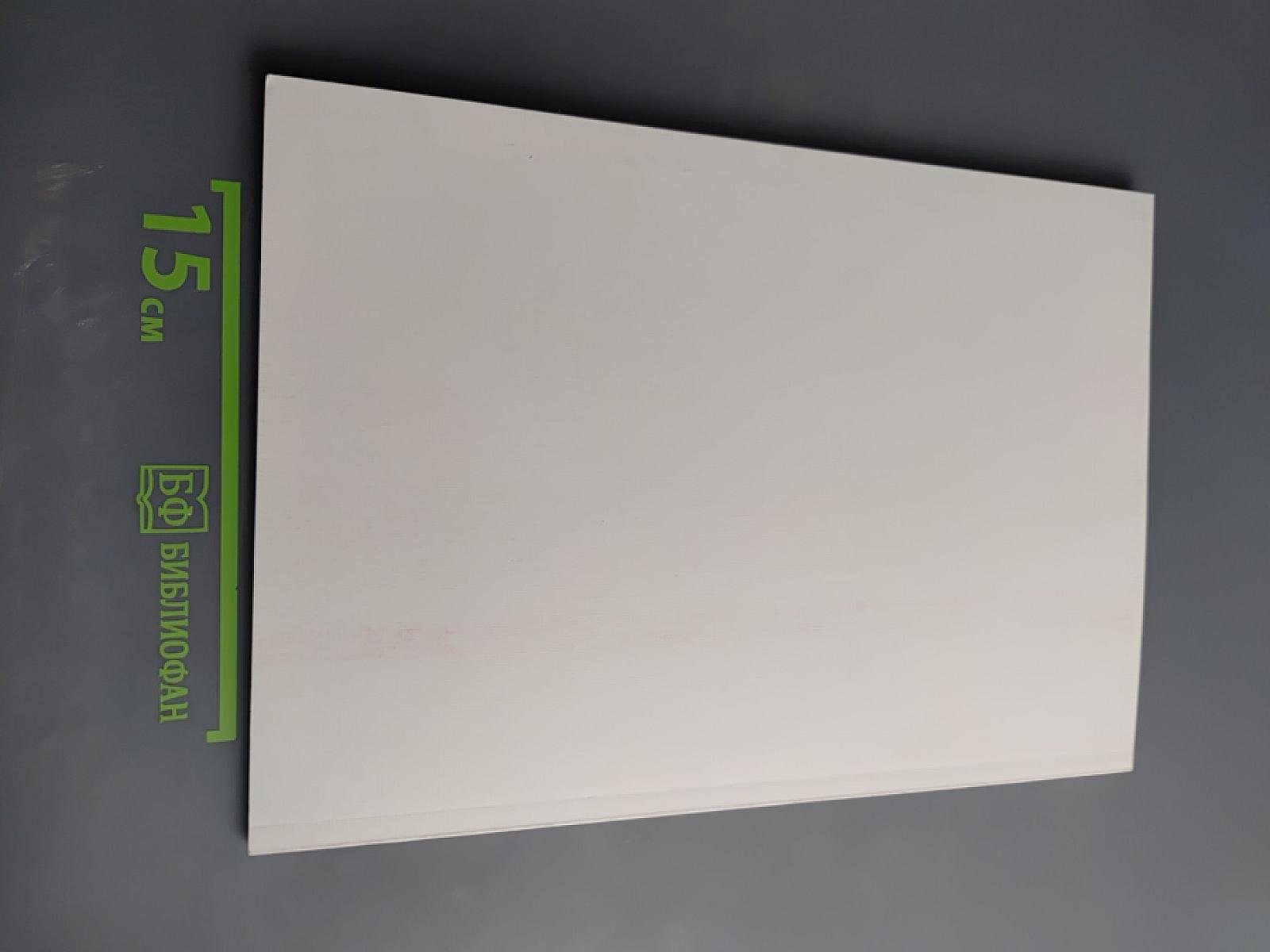 Фонетический лицей. Выпуск 2