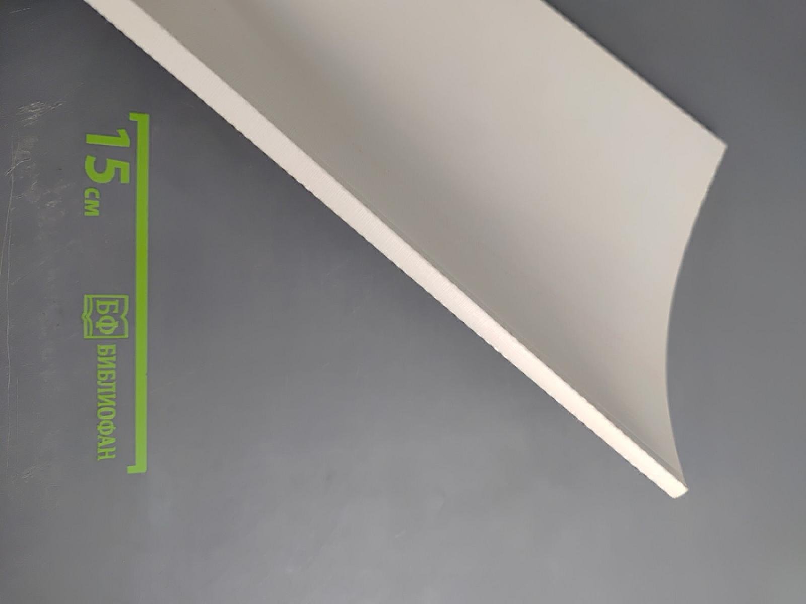 Фонетический лицей. Выпуск 2