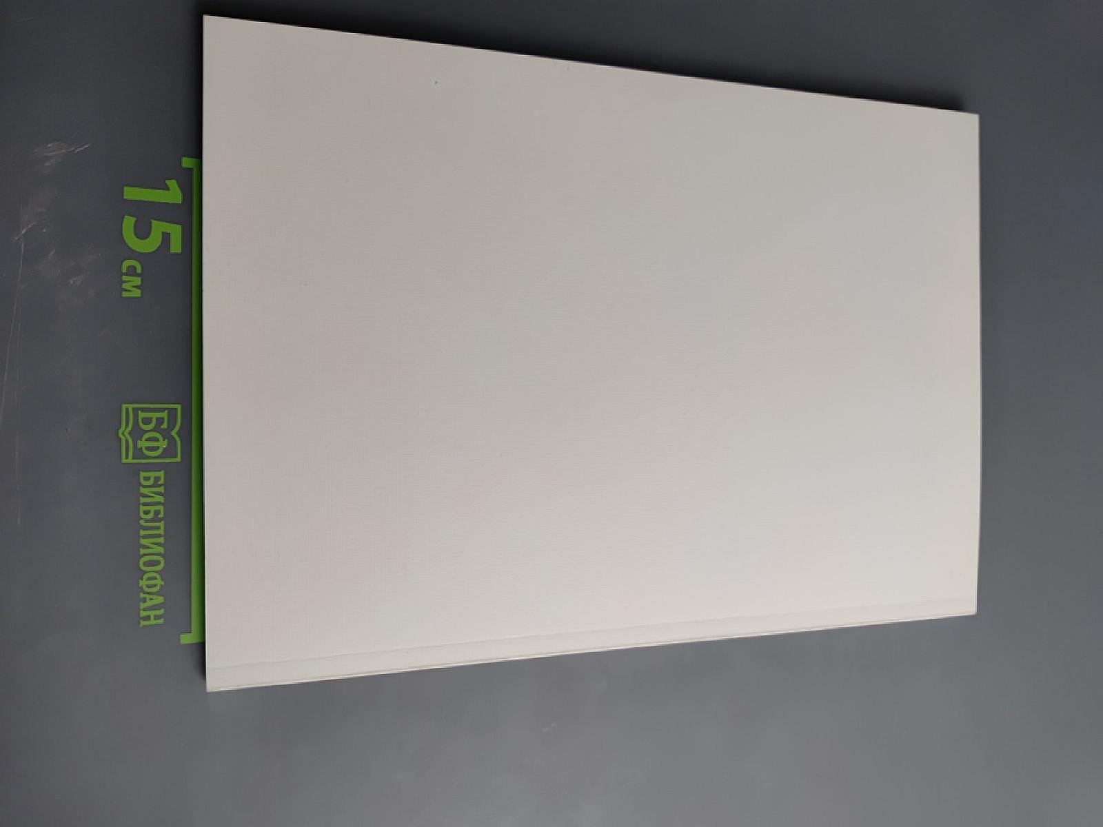 Фонетический лицей. Выпуск 2