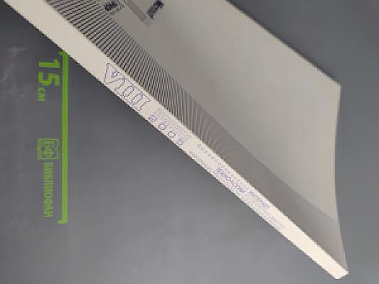 Технологии информационного общества. Интернет и современное общество. Труды VII Всероссийской объединенной конференции. Гуманитарная информатика. Электронное правительство в информационном обществе