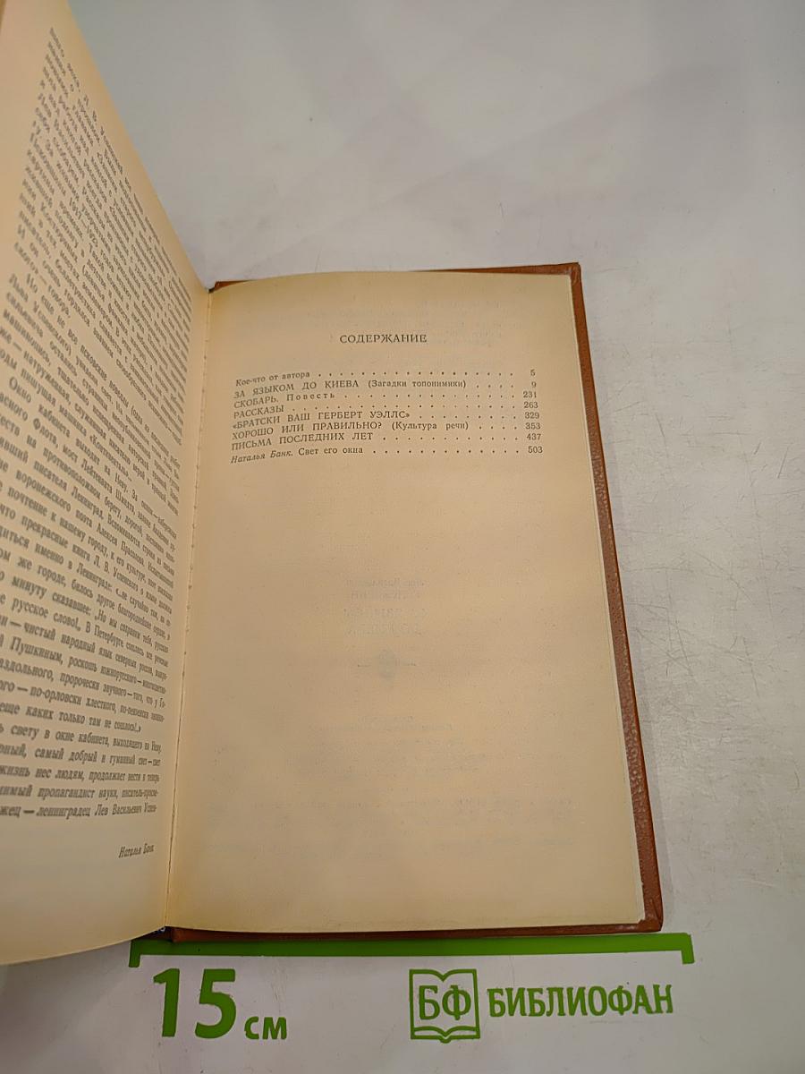 За языком до Киева