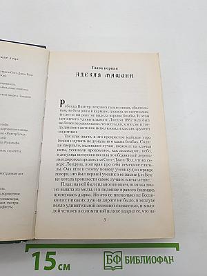 Оловянная принцесса
