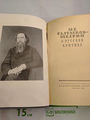 М.Е. Салтыков-Щедрин в русской критике
