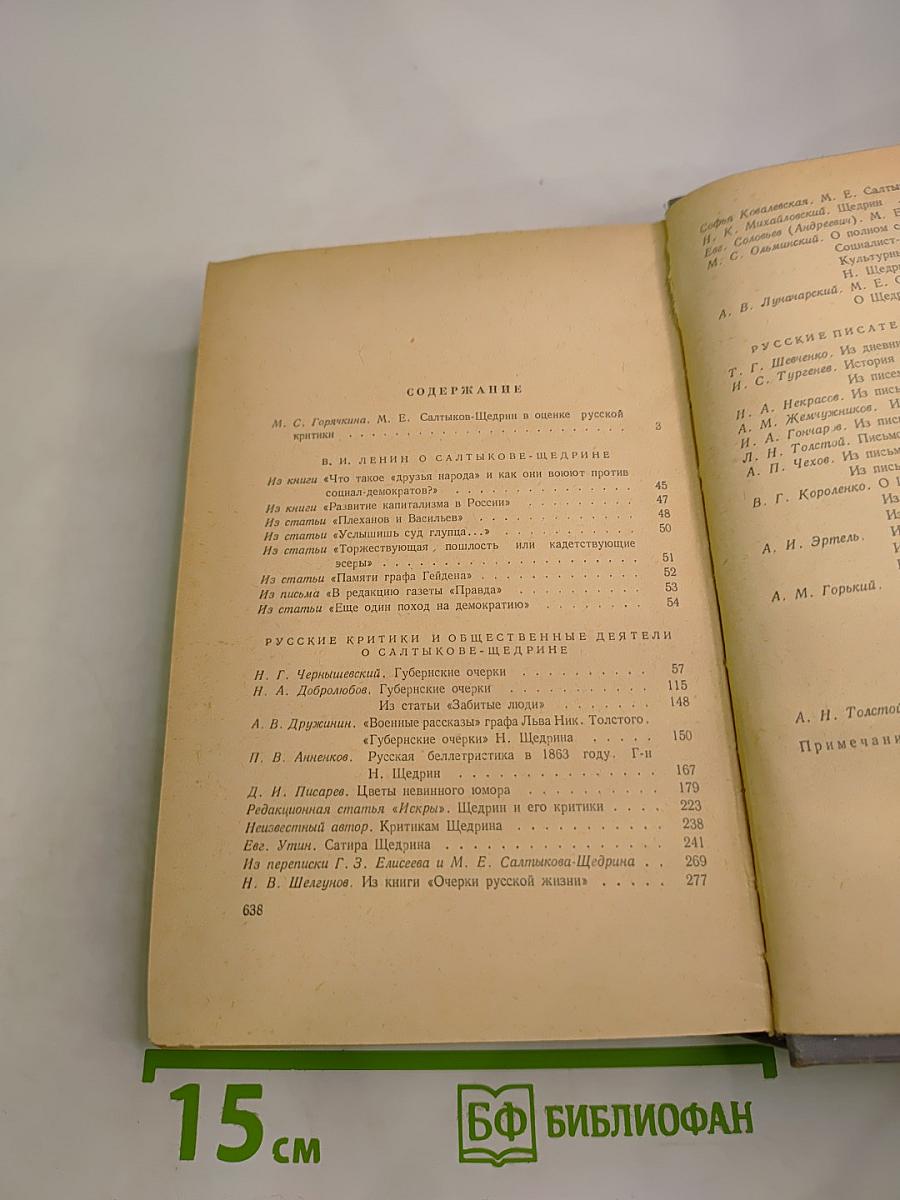 М.Е. Салтыков-Щедрин в русской критике