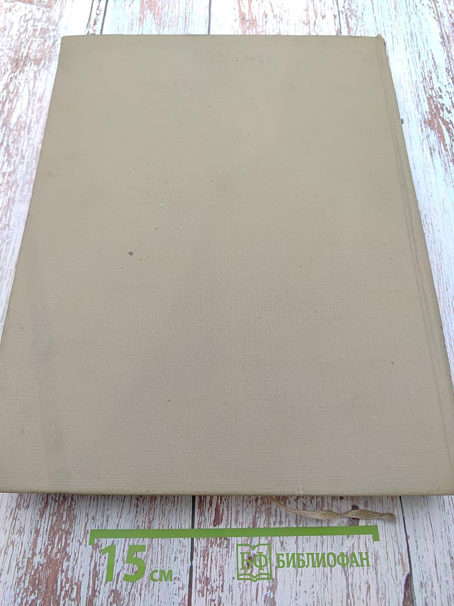 История русского искусства. Том VI