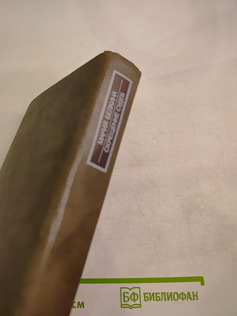 Писатели о писателях. Скрещение судеб