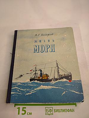 Жизнь моря