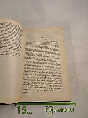 Лабиринт. Мемуары гитлеровского разведчика