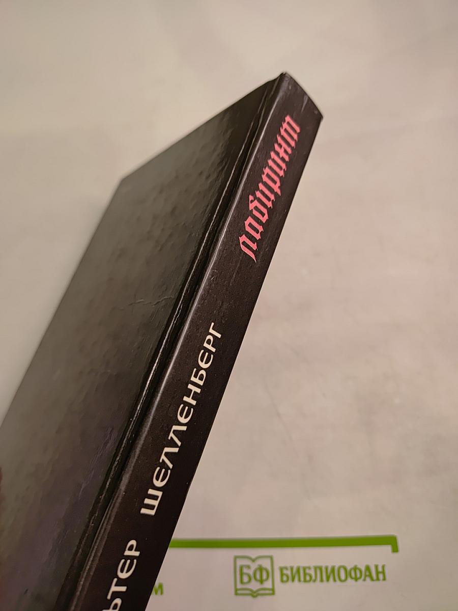 Лабиринт. Мемуары гитлеровского разведчика