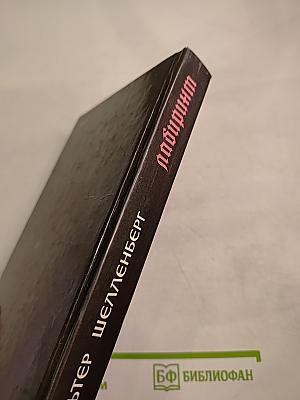 Лабиринт. Мемуары гитлеровского разведчика