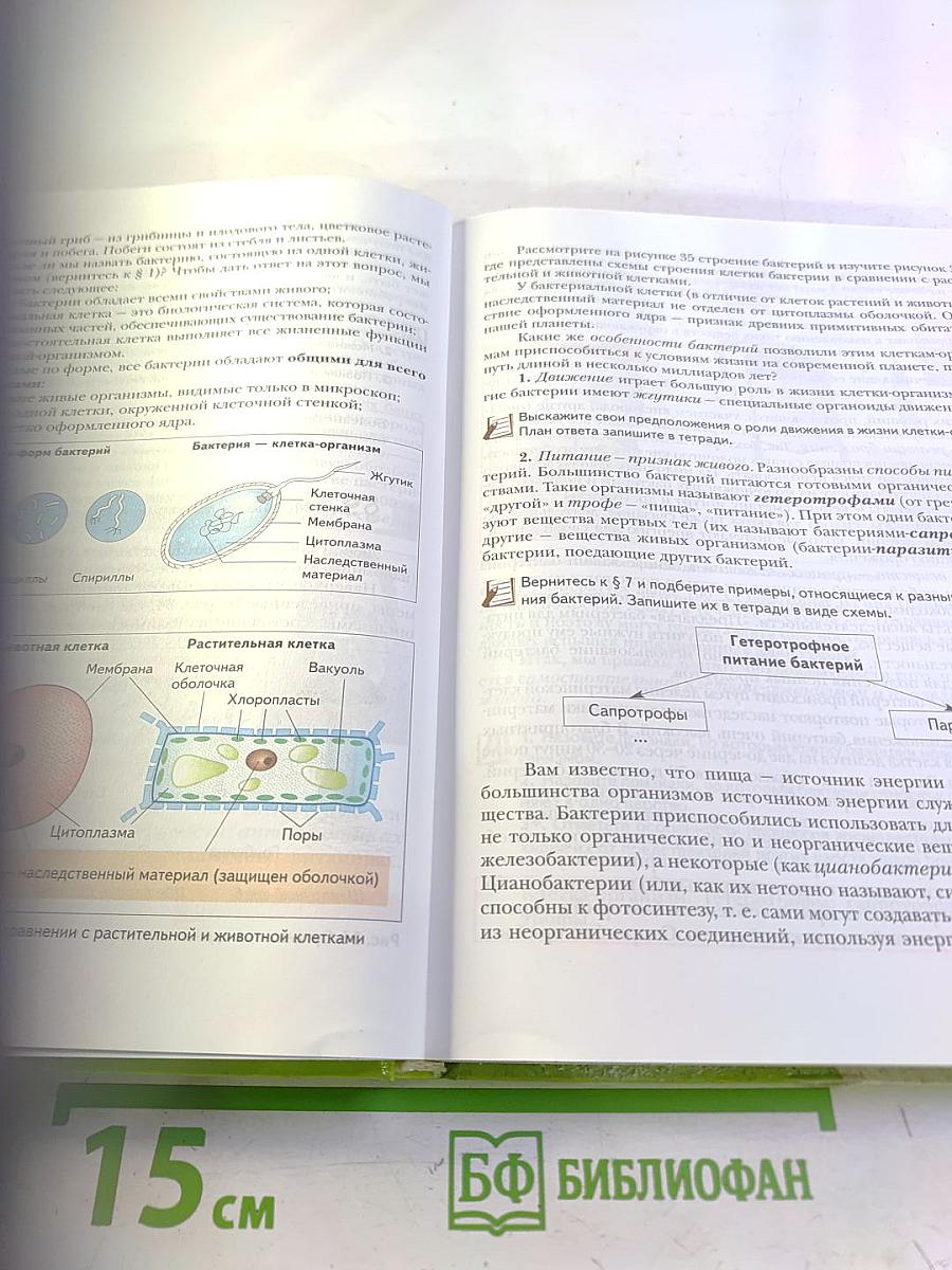 Биология. 6 класс. Живая природа