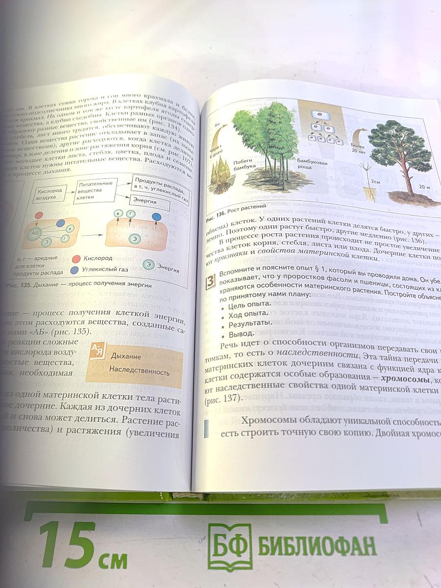 Биология. 6 класс. Живая природа