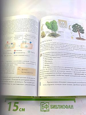 Биология. 6 класс. Живая природа