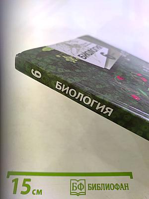 Биология. 6 класс. Живая природа