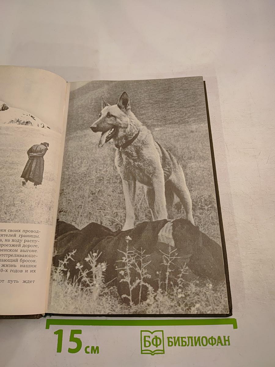 Наши верные друзья