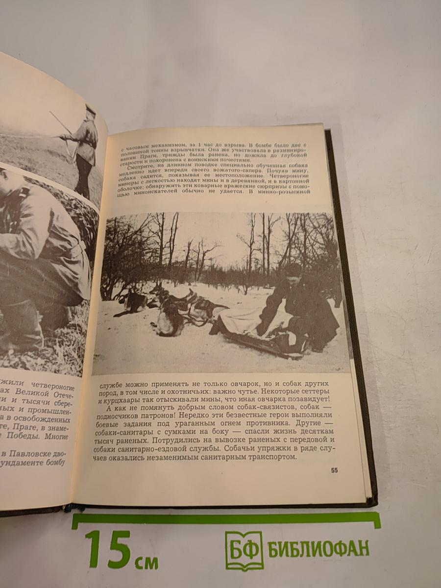 Наши верные друзья