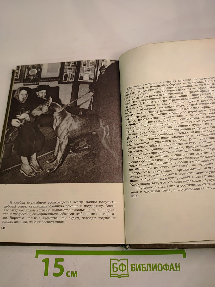 Наши верные друзья