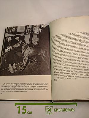 Наши верные друзья