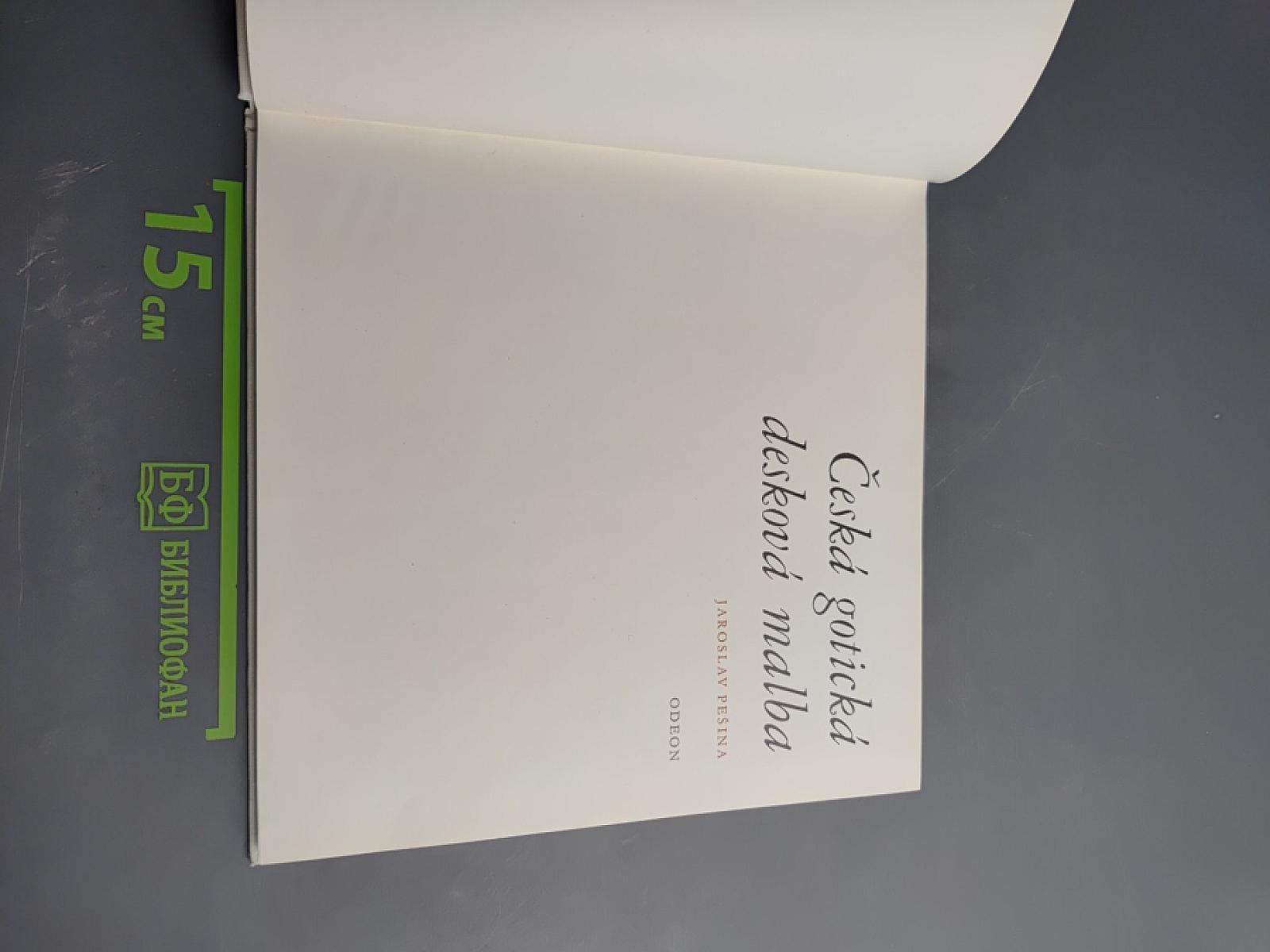 Česká gotická desková malba