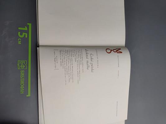 Česká gotická desková malba