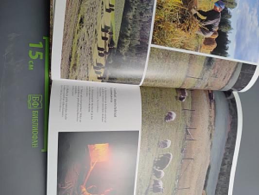 MÄNTYHARJU Mailta ja vesiltä, ihmisten parista