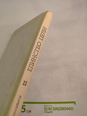 Единство цели / В добрый путь, ребята! (Пособие для учителя)