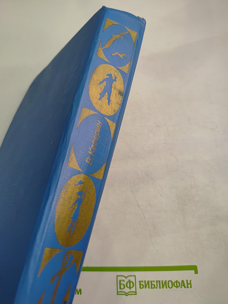 Два капитана