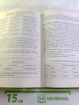 Русский язык 11 класс. Базовый и углубленный уровни