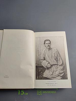 Собрание сочинений в пяти томах. Том 2: Рассказы, очерки, наброски, стихи 1894-1896