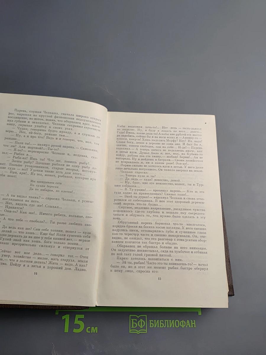 Собрание сочинений в пяти томах. Том 2: Рассказы, очерки, наброски, стихи 1894-1896