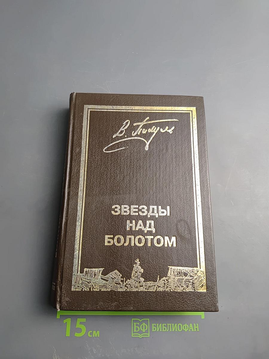 Звезды над болотом