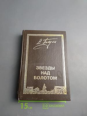 Звезды над болотом