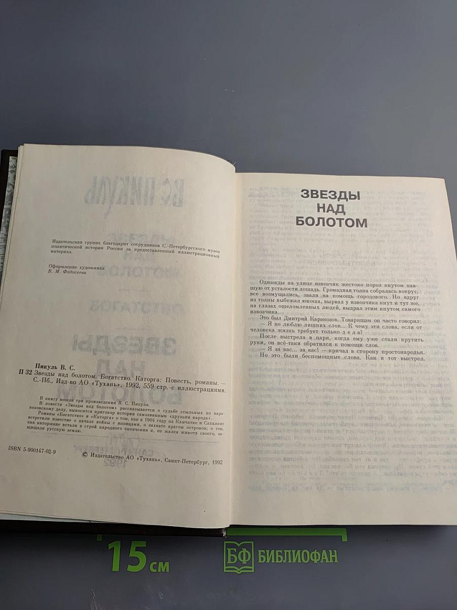 Звезды над болотом