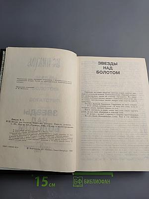 Звезды над болотом